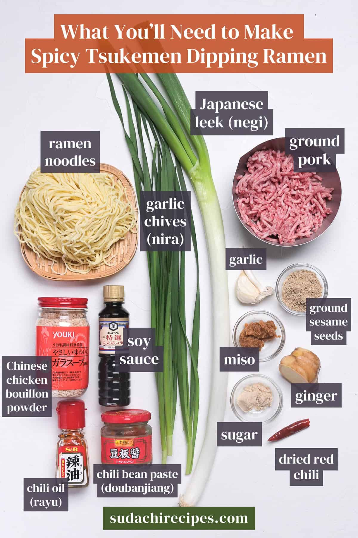 Ingredients needed to make spicy tsukemen dipping ramen on a white background with labels. From top to bottom, left to right: ramen noodles, Japanese leek, ground pork, garlic chives, garlic, ground sesame seeds, Chinese style chicken bouillon powder, soy sauce, miso, ginger, sugar, chili oil, chili bean paste, dried red chili.