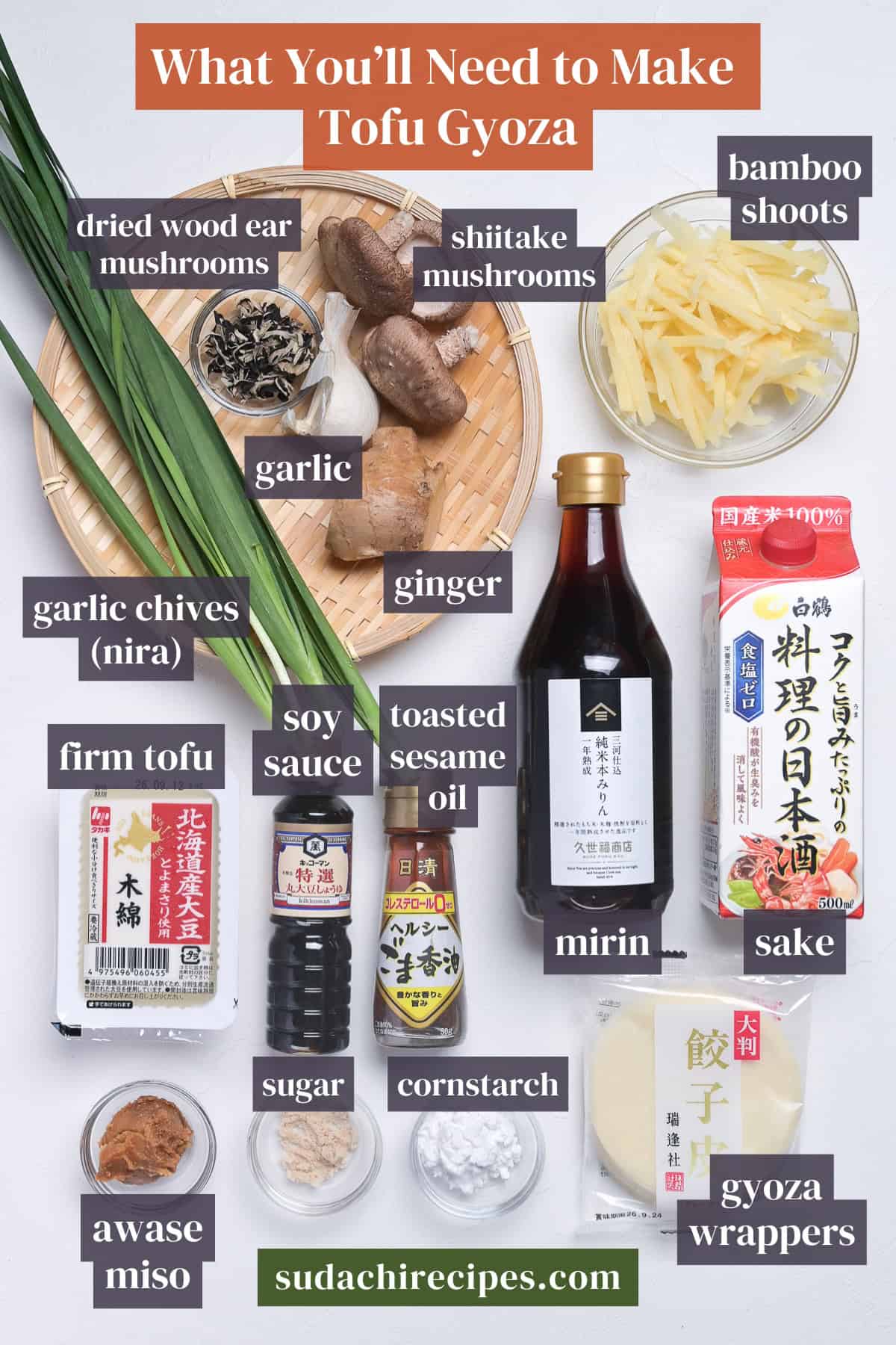 Ingredients to make tofu gyoza on a white background with labels. From top to bottom, left to right: dried wood ear mushrooms, shiitake mushrooms, bamboo shoots, garlic, garlic chives, ginger, firm tofu, soy sauce, toasted sesame oil, mirin, sake, sugar, cornstarch, awase miso, gyoza wrappers.