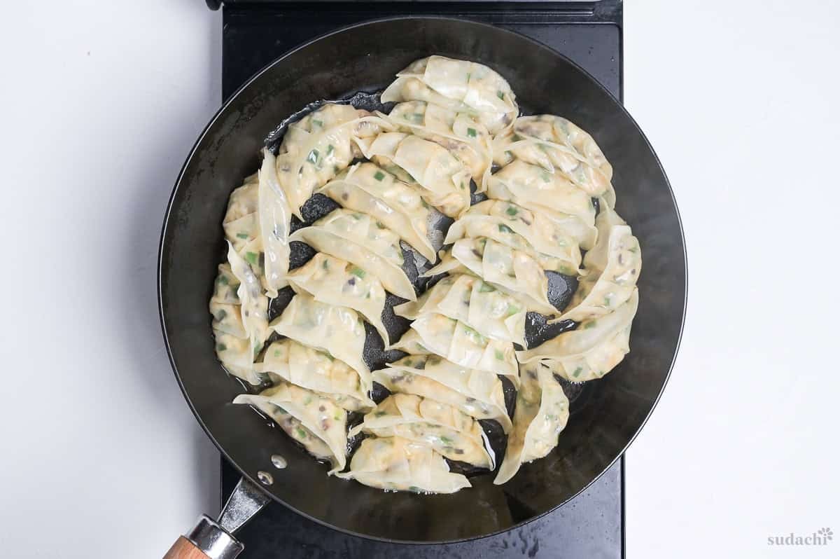 crispy pan-fried tofu gyoza in a pan on the stove top