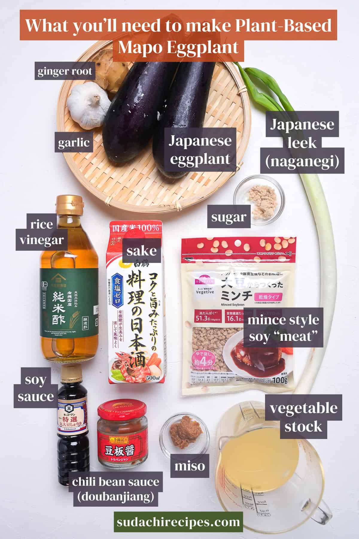 Ingredients needed to make vegan mabo nasu on a white background with labels. From top to bottom, left to right: ginger root, garlic, Japanese eggplant, Japanese leek (naganegi), rice vinegar, sake, sugar, mince style soy meat, soy sauce, doubanjiang, miso, vegetable stock.