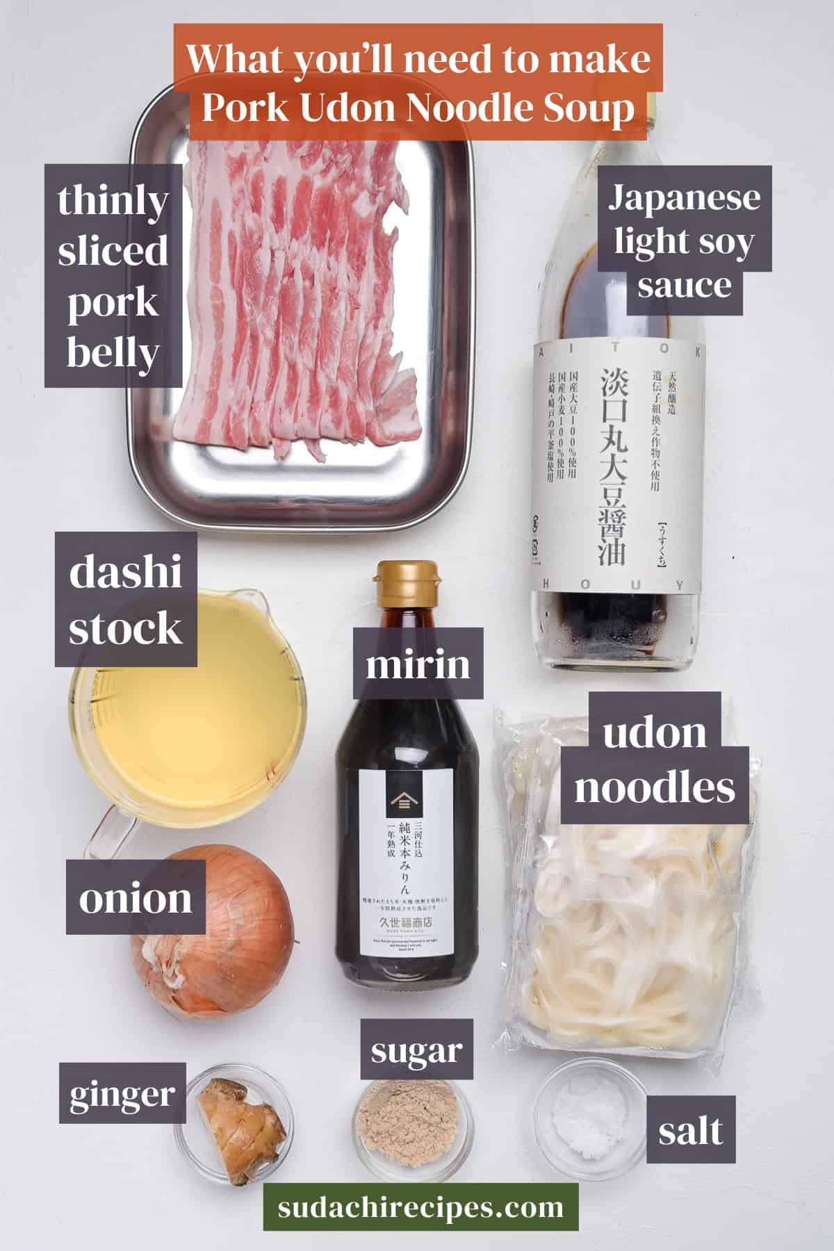 Ingredients needed to make pork udon noodle soup on a white background with labels. From top to bottom, left to right: thinly sliced pork belly, Japanese light soy sauce, dashi stock, mirin, udon noodles, onion, ginger, sugar, salt.