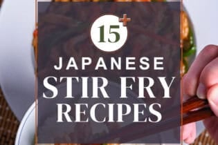 Japanese stir fry recipe roundup with chinjao rosu pepper steak in the background